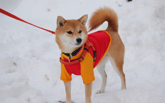 普拉提成为都市女性健身新宠，市场潜力巨大，普拉提女生