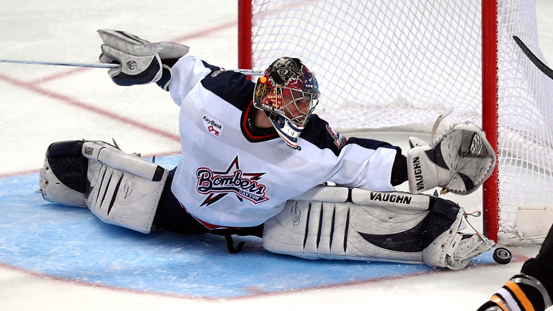 蛙泳赛场荷兰选手技压群雄，荷兰蛙泳运动员