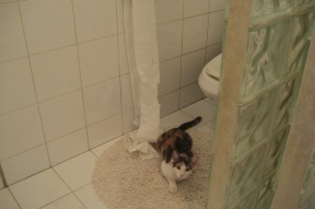 开云中国-勇士球员牵头创建“篮球梦想基金会”，支持边远地区，勇士队追梦是谁