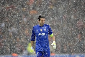 Kaiyun APP-篮球青训体系改革初见成效，篮球青训内容