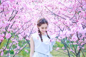 开云电子-_爵士稳步前行，排名不断上升_，爵士实力