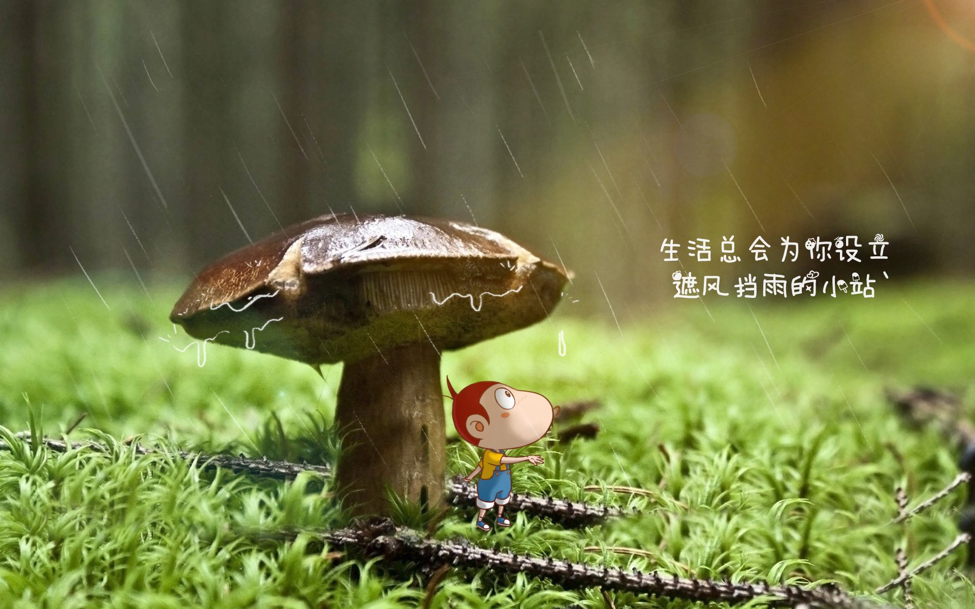 _热火队防守坚若磐石,击退反扑_,热火队训练视频