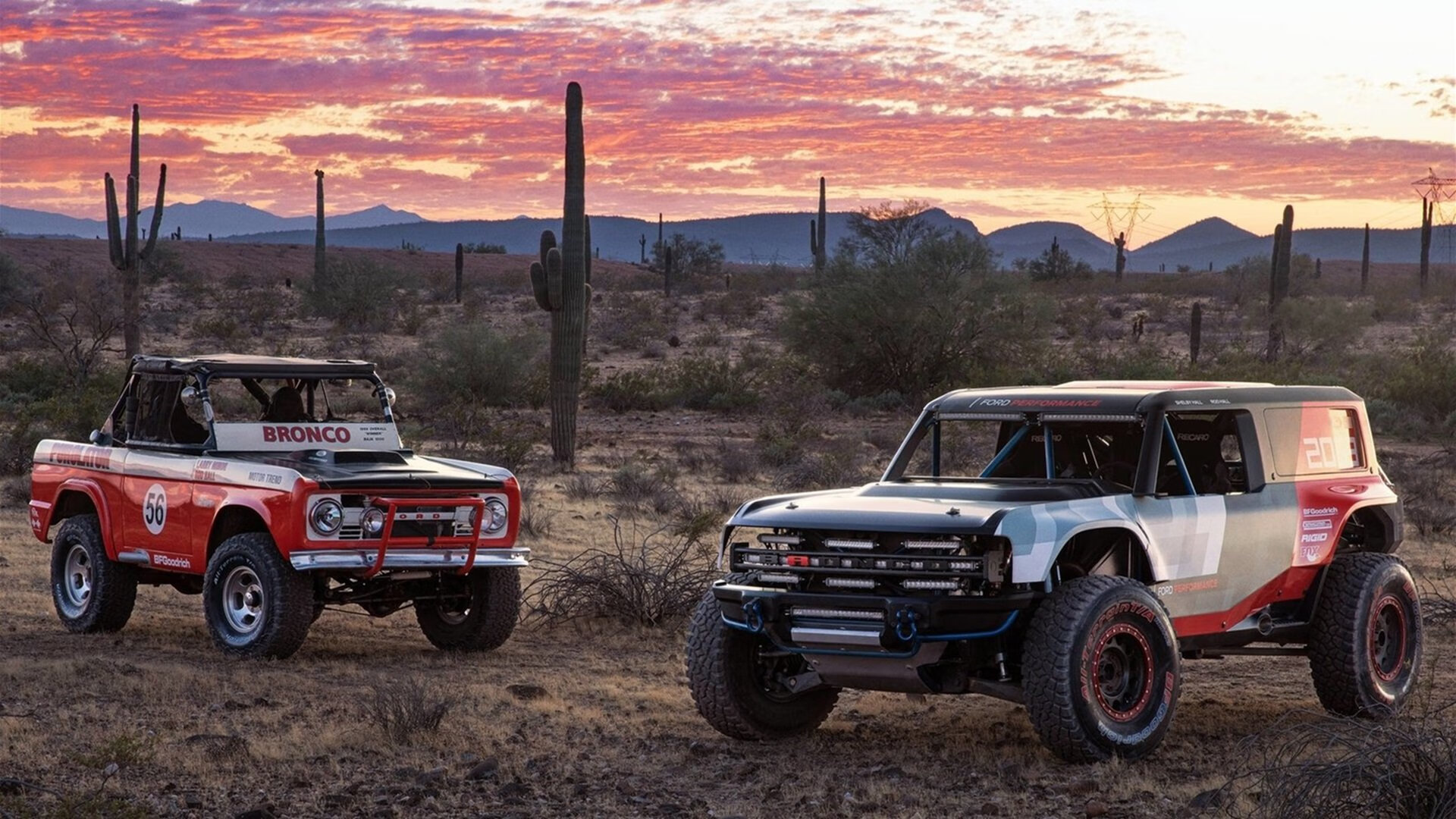夜空下的极限飞盘,运动也可以如此浪漫,极限飞盘术语